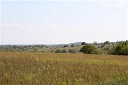 Cowboy Meadows Tract 19