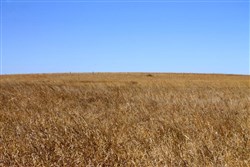 Cowboy Meadows Tract 19