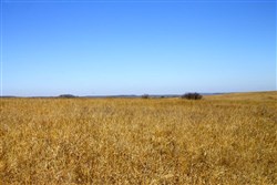 Cowboy Meadows Tract 19