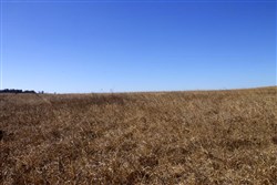 Cowboy Meadows Tract 19