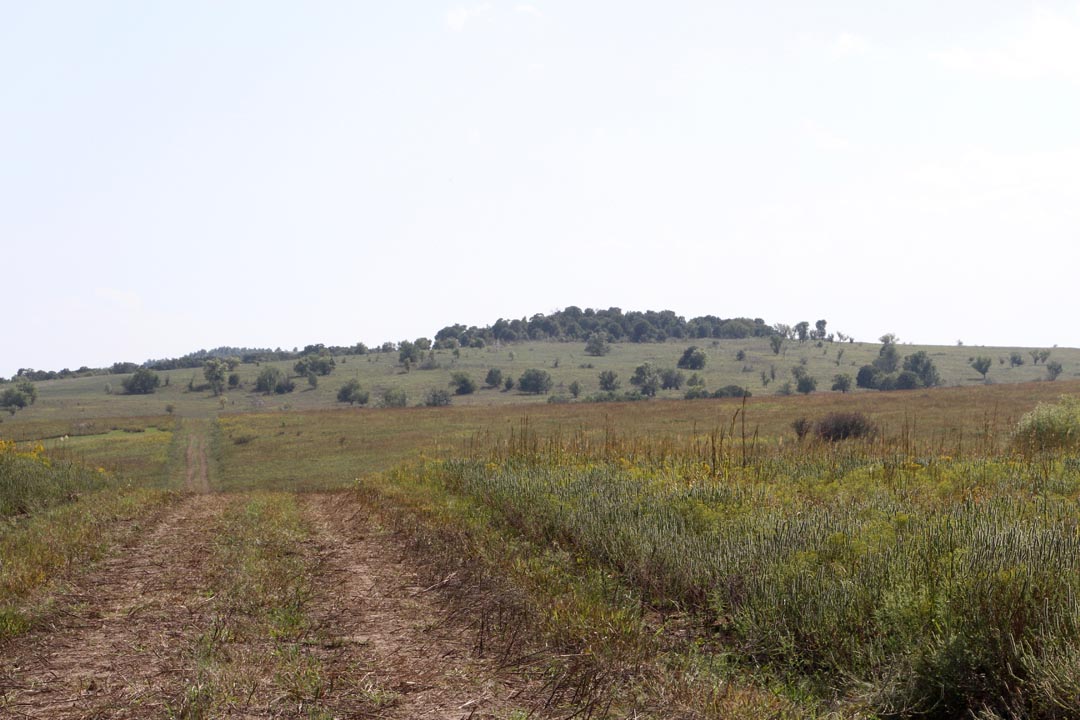 Tract 2 at Cowboy Meadows in Chautauqua County, Kansas