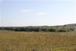Cowboy Meadows Tract 21