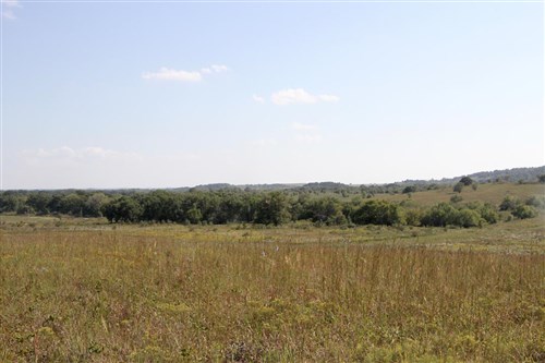 Cowboy Meadows Tract 21