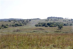 Cowboy Meadows Tract 21