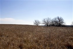 Cowboy Meadows Tract 21