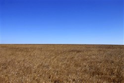 Cowboy Meadows Tract 21