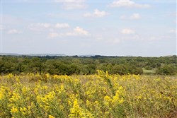 Cowboy Meadows Tract 22