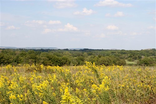 Cowboy Meadows Tract 22