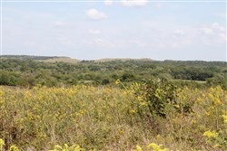 Cowboy Meadows Tract 22