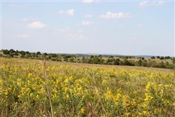 Cowboy Meadows Tract 22