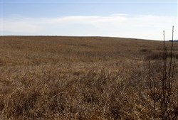 Cowboy Meadows Tract 22