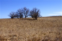 Cowboy Meadows Tract 22