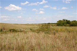 Cowboy Meadows Tract 24