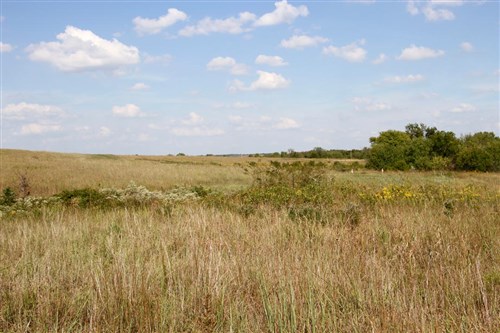 Cowboy Meadows Tract 24