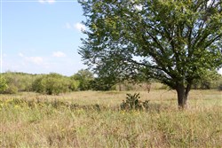 Cowboy Meadows Tract 24