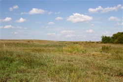 Cowboy Meadows Tract 24