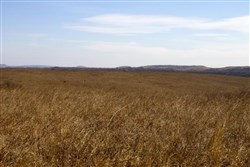 Cowboy Meadows Tract 24