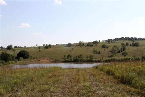 Cowboy Meadows Tract 25