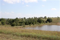 Cowboy Meadows Tract 25