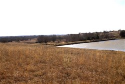 Cowboy Meadows Tract 25