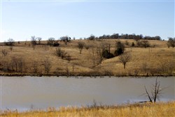 Cowboy Meadows Tract 25