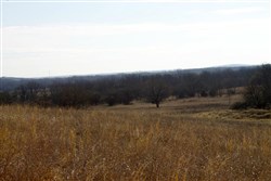 Cowboy Meadows Tract 25