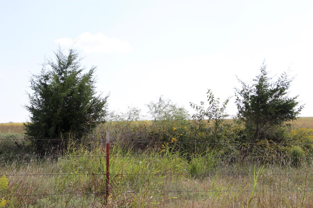 Tract 4 at Cowboy Meadows in Chautauqua County, Kansas