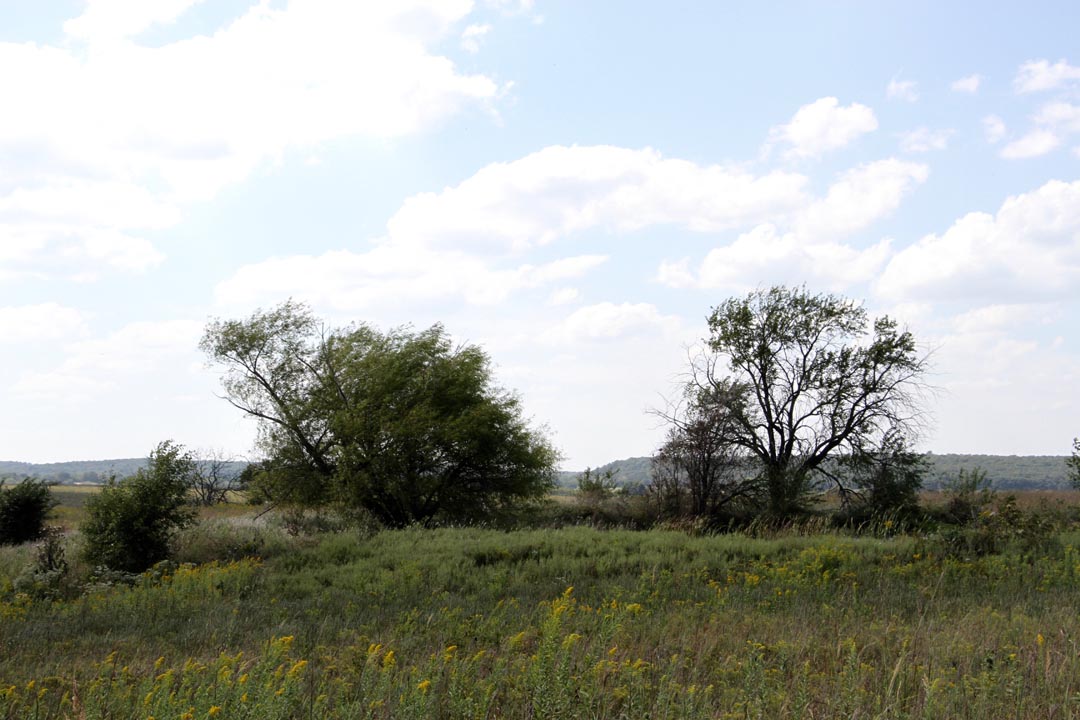 Tract 5 at Cowboy Meadows in Chautauqua County, Kansas