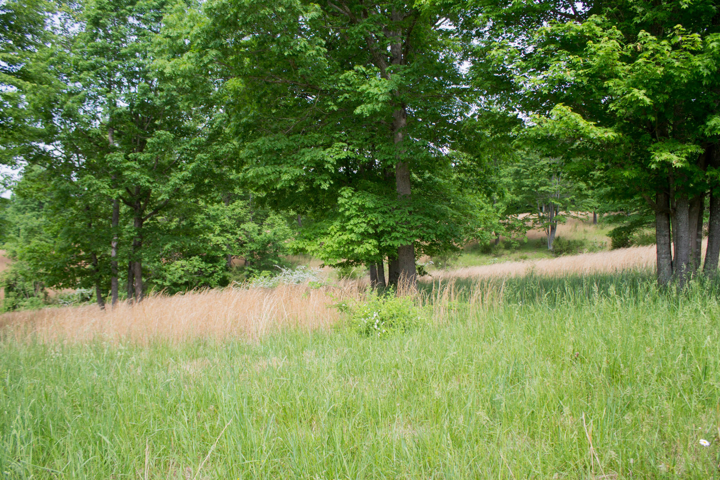 Tract 11 at Laurel Ridge in Casey County, Kentucky