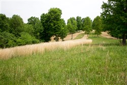 Laurel Ridge Tract 15