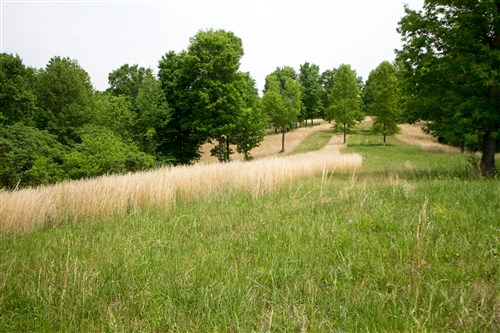 Laurel Ridge Tract 15