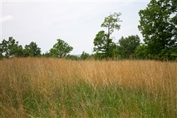 Laurel Ridge Tract 15