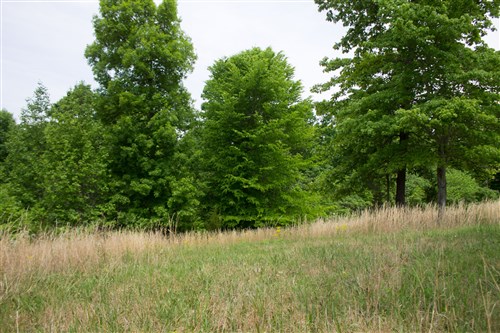 Laurel Ridge Tract 15