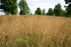 Laurel Ridge Tract 2