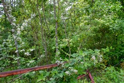 Laurel Ridge Tract 2