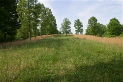 property photo for Laurel Ridge Tract 4, 5.02 acres for sale in Casey County, Kentucky