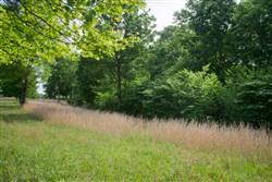property photo for Laurel Ridge Tract 4, 5.02 acres for sale in Casey County, Kentucky