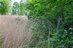 property photo for Laurel Ridge Tract 4, 5.02 acres for sale in Casey County, Kentucky