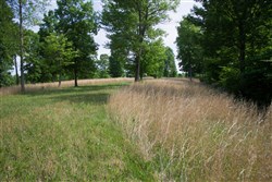 property photo for Laurel Ridge Tract 4, 5.02 acres for sale in Casey County, Kentucky