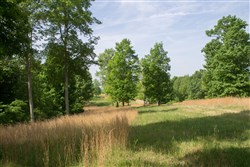 Laurel Ridge Tract 5