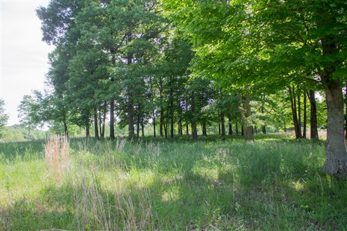 Laurel Ridge Tract 5