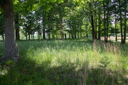 Laurel Ridge Tract 5