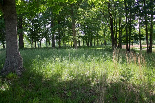 Laurel Ridge Tract 5