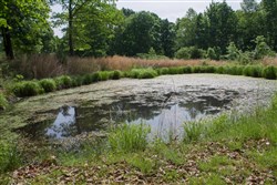 Laurel Ridge Tract 5