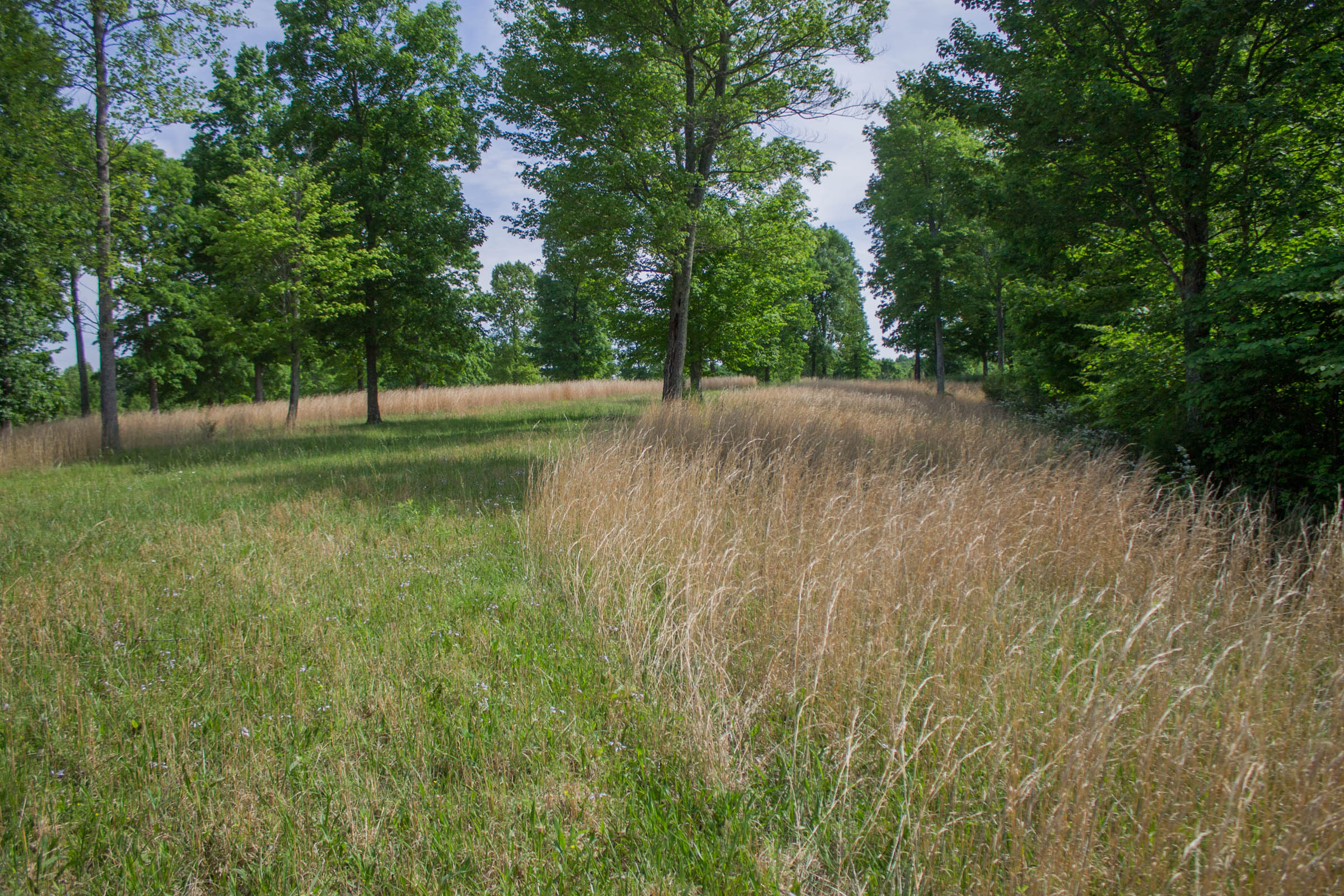 Tract 7 at Laurel Ridge in Casey County, Kentucky