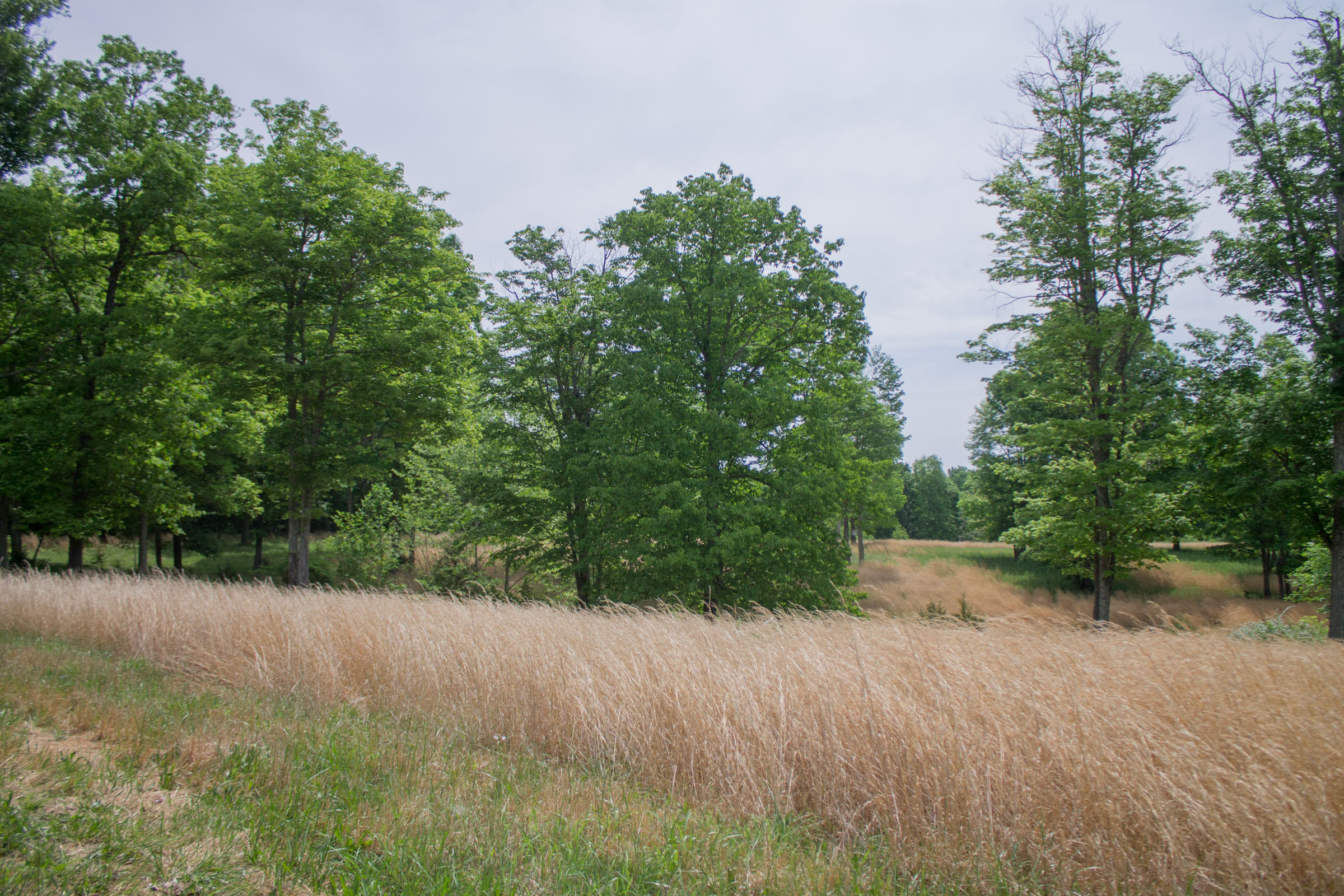 Tract 9 at Laurel Ridge in Casey County, Kentucky