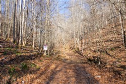 Blackstone Mountain Tract 10