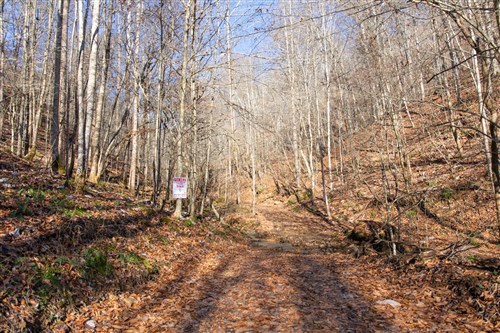 Blackstone Mountain Tract 10