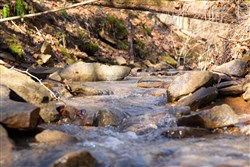 Blackstone Mountain Tract 10