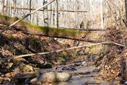 Blackstone Mountain Tract 10